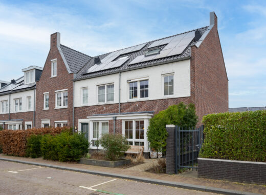 Picture: Vliegend Hert 29